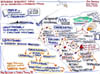 05_EngineeringDistNetworks_1